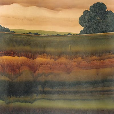 Dusk V by Robert Charon framed wall art