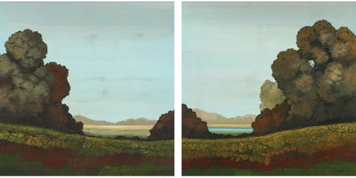 Distant Meadow Diptych