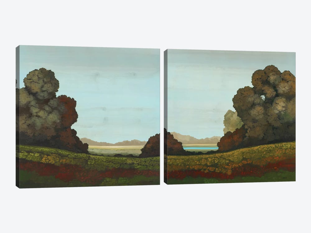 Distant Meadow Diptych by Robert Charon 2-piece Canvas Art