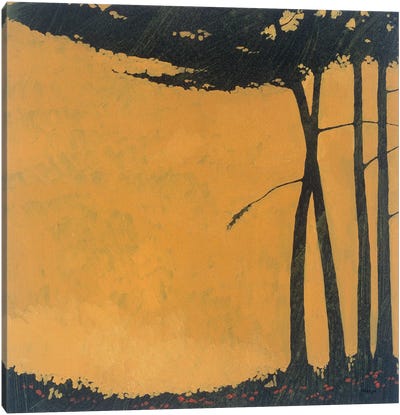 Forestscape I Canvas Art Print - Robert Charon