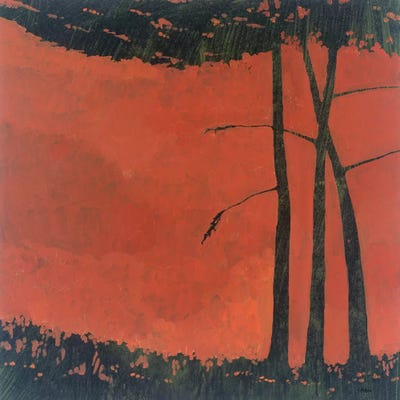 Forestscape II by Robert Charon framed wall art