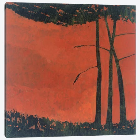 Forestscape II Canvas Print #CRN32} by Robert Charon Canvas Artwork