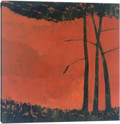 Forestscape II Canvas Art Print - Robert Charon