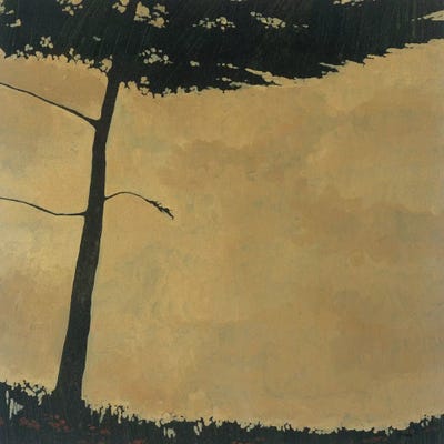 Forestscape III by Robert Charon canvas print