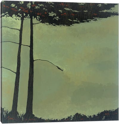 Forestscape IV Canvas Art Print - Robert Charon