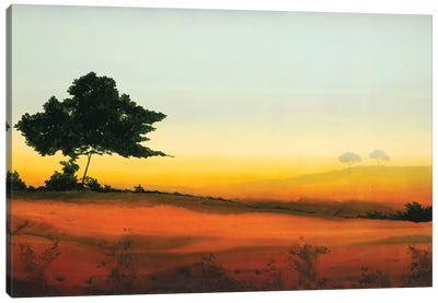 Golden Glow III Canvas Art Print - Robert Charon