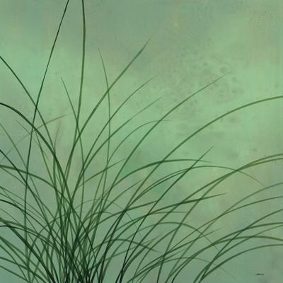 Grasses I by Robert Charon framed wall art