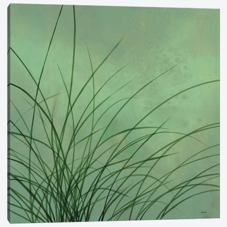 Grasses I Canvas Print #CRN38} by Robert Charon Canvas Wall Art
