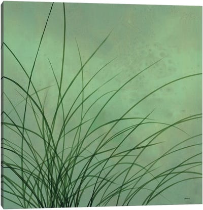 Grasses I Canvas Art Print - Robert Charon
