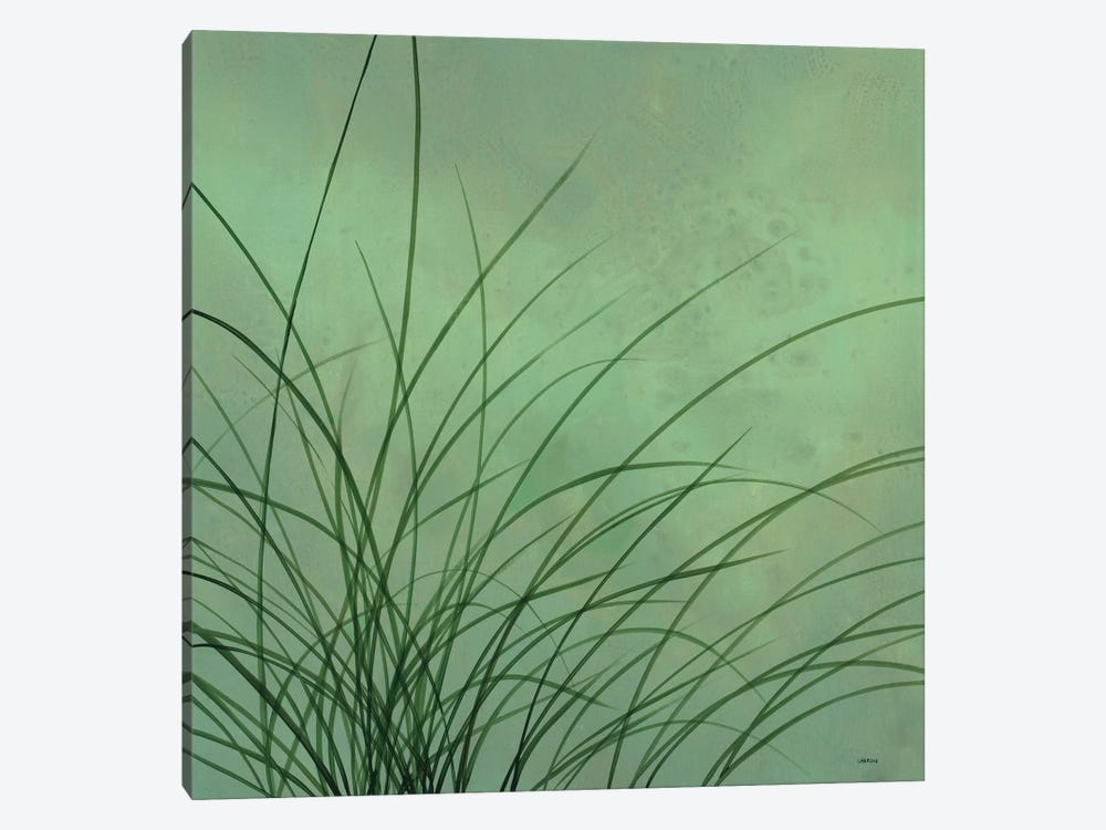 Grasses I by Robert Charon 1-piece Canvas Print