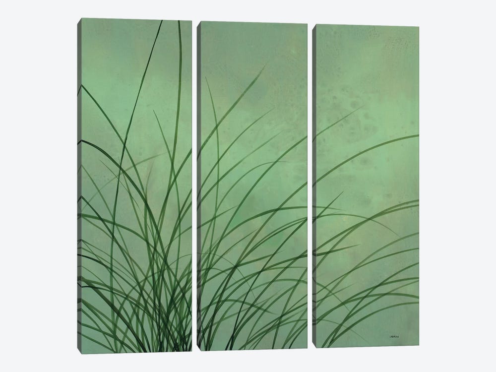 Grasses I by Robert Charon 3-piece Canvas Art Print