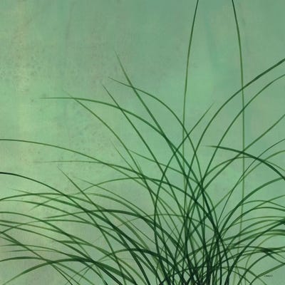 Grasses II by Robert Charon framed wall art
