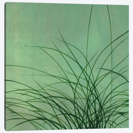 Grasses II Canvas Print #CRN39} by Robert Charon Canvas Art
