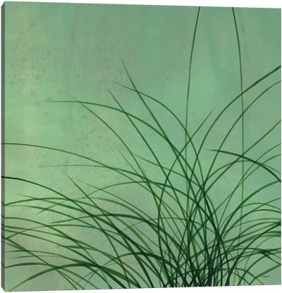 Grasses II Canvas Art Print - Robert Charon