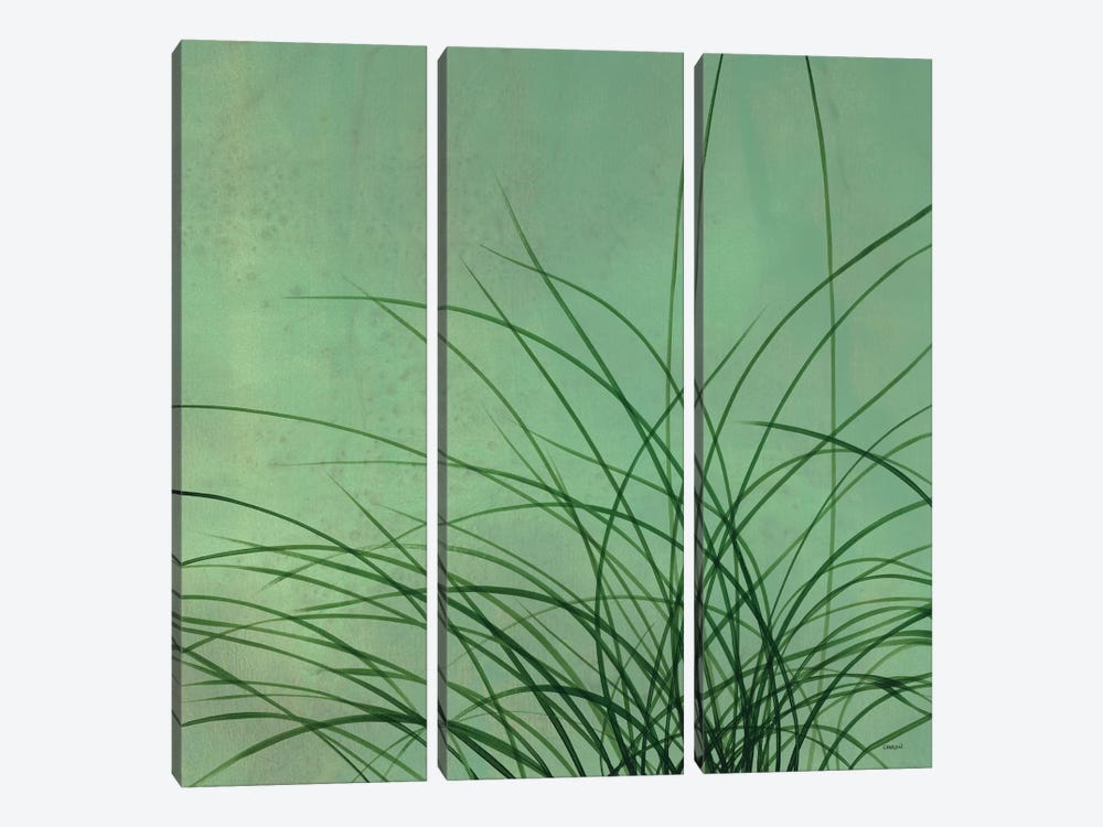 Grasses II by Robert Charon 3-piece Canvas Artwork