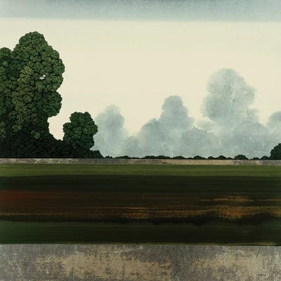 Hidden Grace I by Robert Charon framed wall art