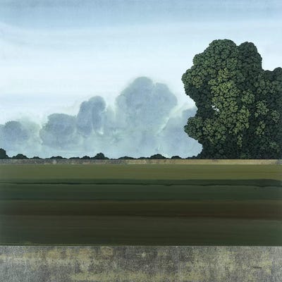 Hidden Grace II by Robert Charon framed wall art