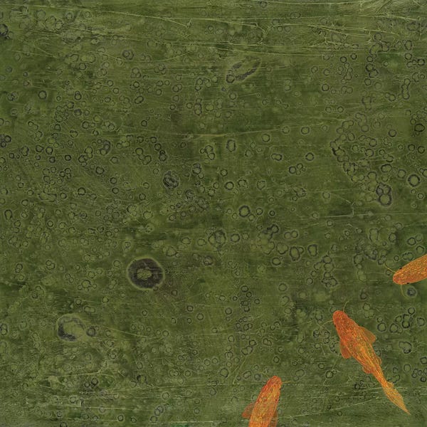 Robert Charon: Koi Pond by Robert Charon