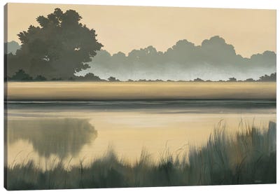 Golden Glow Canvas Art Print - Marsh & Swamp Art