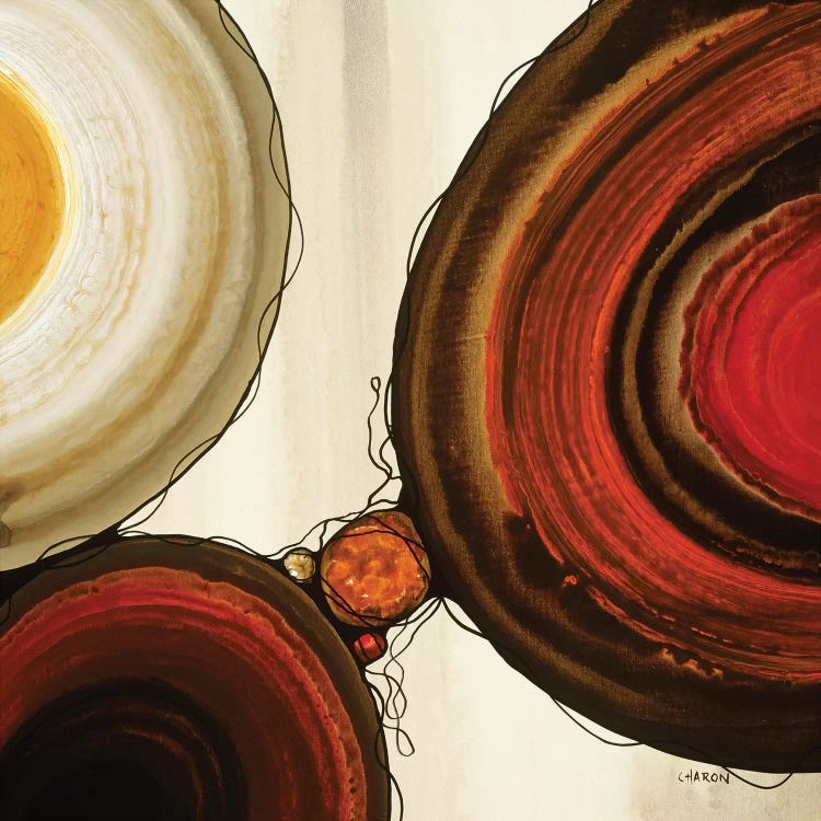 Orbs V by Robert Charon wall art