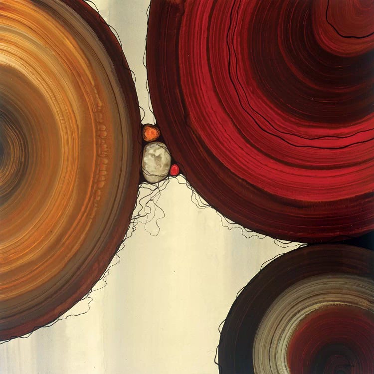 Orbus IV by Robert Charon canvas print