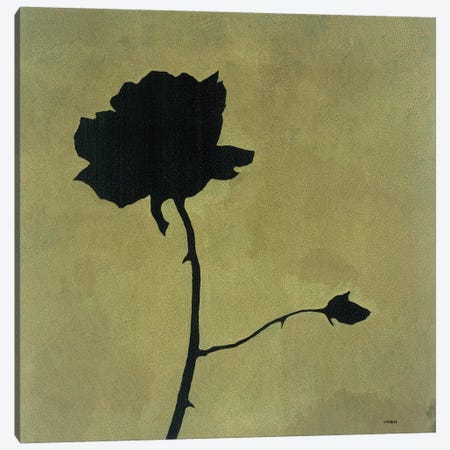 Rose Canvas Print #CRN70} by Robert Charon Canvas Artwork