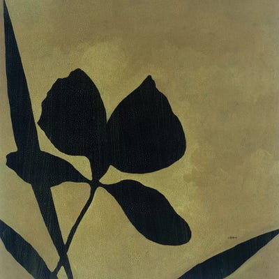 White Ginger by Robert Charon canvas print