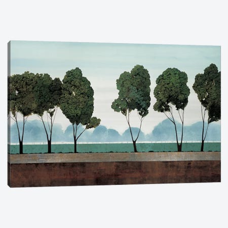 Six Trees Canvas Print #CRN7} by Robert Charon Canvas Art