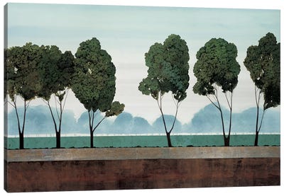 Six Trees Canvas Art Print - Robert Charon