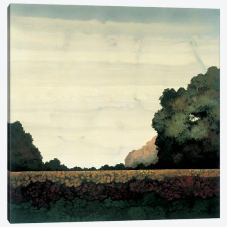 Tree Line I Canvas Print #CRN8} by Robert Charon Art Print