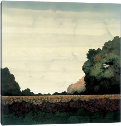Tree Line I Canvas Art Print - Robert Charon