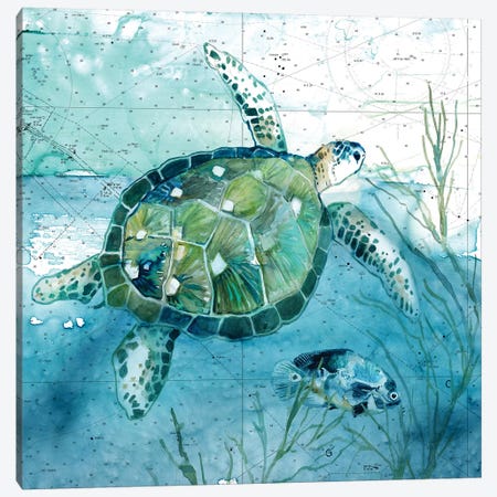 Island Swim I Canvas Print #CRO1022} by Carol Robinson Canvas Artwork