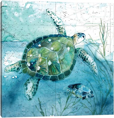 Island Swim I Canvas Art Print - Turtles