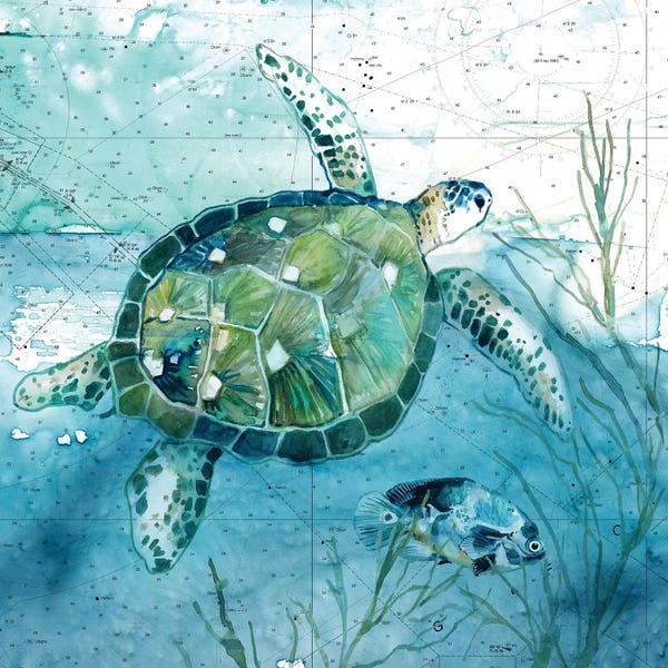 Turtles: Island Swim I by Carol Robinson