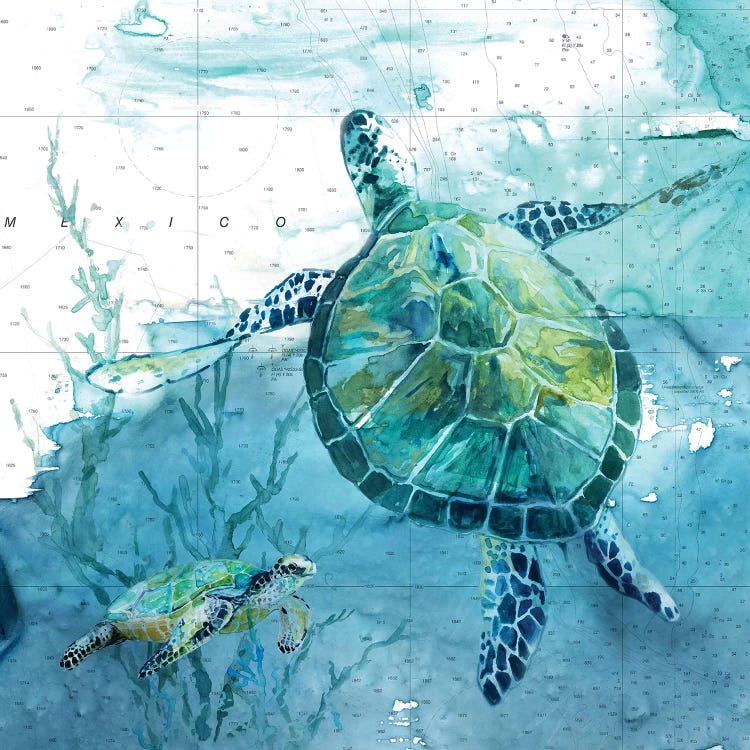 Island Swim II by Carol Robinson wall art