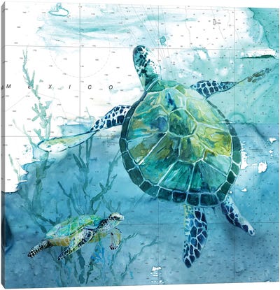 Island Swim II Canvas Art Print - Turtle Art