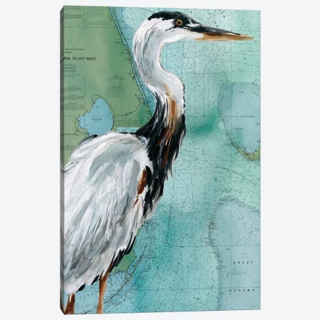 Key West Crane Canvas Print #CRO1024} by Carol Robinson Art Print