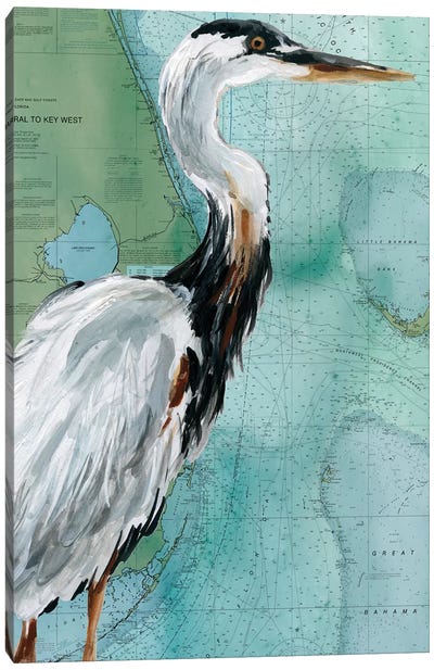 Key West Crane Canvas Art Print - Crane Art