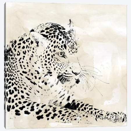 Leopard Spot I Canvas Print #CRO1026} by Carol Robinson Art Print