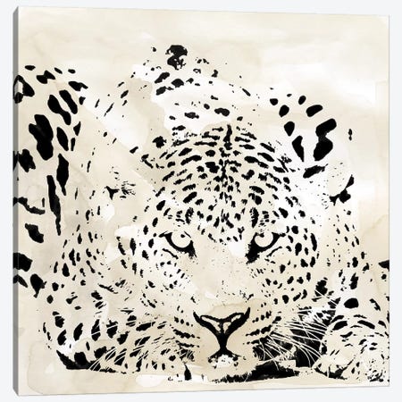 Leopard Spot III Canvas Print #CRO1028} by Carol Robinson Canvas Wall Art