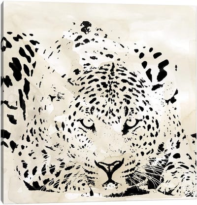 Leopard Spot III Canvas Art Print - Leopard Art