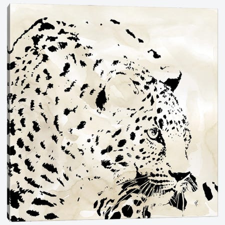 Leopard Spot IV Canvas Print #CRO1029} by Carol Robinson Canvas Wall Art