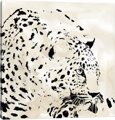 Leopard Spot IV Canvas Art Print