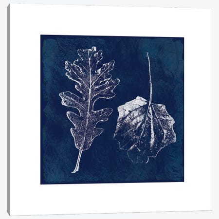 Cyanotype Oak Leaves Canvas Print #CRO102} by Carol Robinson Canvas Artwork