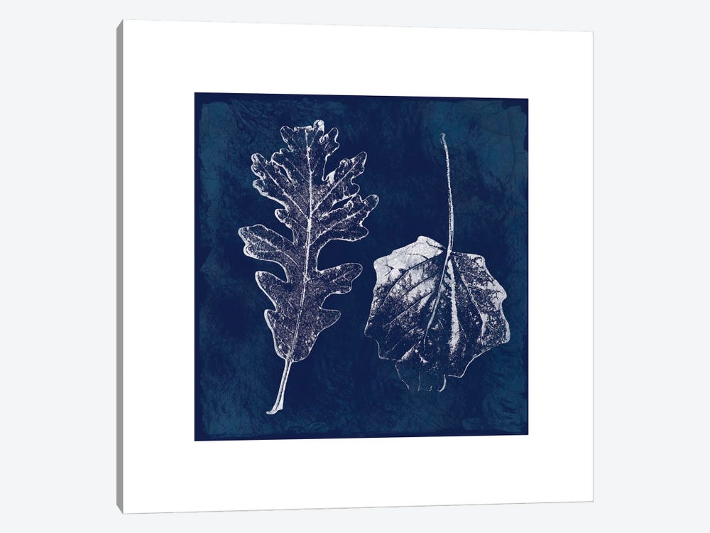 Cyanotype Oak Leaves by Carol Robinson 1-piece Canvas Art