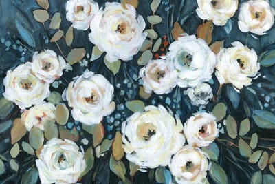 Moonlit Garden I by Carol Robinson framed wall art