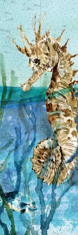 Pacific Seahorse by Carol Robinson wall art