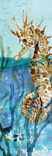 Seahorses: Pacific Seahorse by Carol Robinson