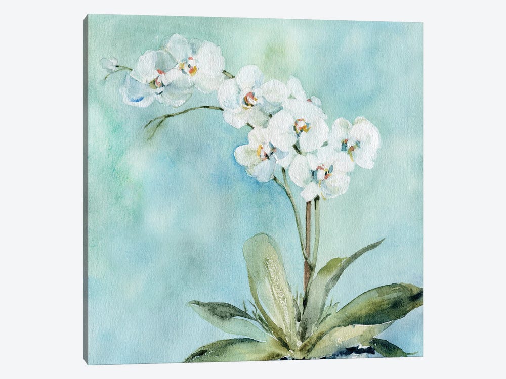 Sunlit Orchid by Carol Robinson 1-piece Canvas Wall Art