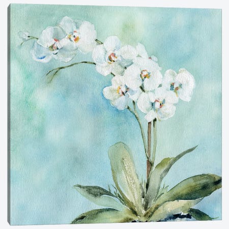 Sunlit Orchid Canvas Print #CRO1058} by Carol Robinson Art Print